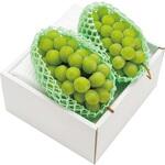 B15-7 山形県産 シャインマスカット ノーブランド