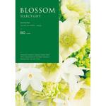 ブロッサム アネモネ ノーブランド