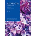 BF ブロッサム アジサイ ノーブランド