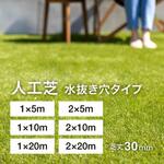 リアル人工芝 水抜き穴タイプ タカショー