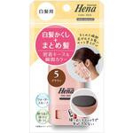 テンスター 白髪用カラースティック BR 三宝