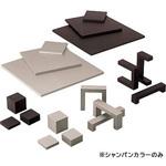 メタリックライン 日本演出