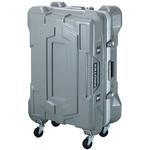 FP-4 PROTEX CORE 樹脂製ハードケース キャリングケースタイプ フジコーワ