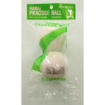 NAIGAI PRACTICE BALL   練習球 2球入り 内外ゴム