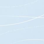 WV-5W ウェーブ包装紙 HEADS(ヘッズ)
