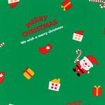 XMS-GW クリスマスミニサンタ包装紙/緑 HEADS(ヘッズ)