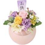 ZY005011 彩花(さいか) 東京堂