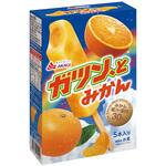 [冷凍]ガツンと みかん 赤城乳業