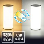 800-LED025 LEDライト サンワダイレクト