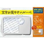 970029 文字が見やすいルーペ 日進医療器