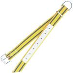 C20A-0248 ナイロン首輪【黄・皮付】85cm2個入 タバタ(畜産)