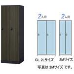 ロッカー 2人用(大) GL型 ナイキ