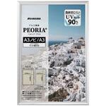 FAPEP-SVA3N アルミ額 ペオリアプラス FAPEPシリーズ ハクバ写真産業