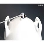AY509X6 Thermo用ディッパー Thermo Fisher Scientific