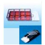 154534JP ラブテックⅡチェンバースライドシステム 8ウェル Thermo Fisher Scientific