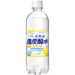 伊賀の天然水強炭酸水レモン 500ml サンガリア
