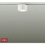 シーリング/洋風丸形/小型 円柱タイプ 非調光 DAIKO(大光電機)
