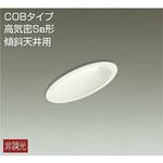 ダウンライト/非調光傾斜天井用SB形/白熱灯100W相当/がんばる価格 DAIKO(大光電機)