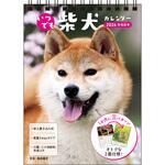 64582 【S3】 2026 いつでも柴犬カレンダー 卓上書き込み式[B6タテ] 永岡書店