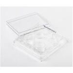 FB012926 Fisherbrand 細胞培養マルチディッシュ FBシリーズ Thermo Fisher Scientific