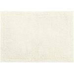 197893 吸水・速乾・抗菌・防臭・防カビ 実はすごい バスマット センコー