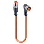 38216 RST 4-RKWT/LED P 4-251/5 M センサアクチュエータケーブル コア数：4 RSTシリーズ Lumberg Automation