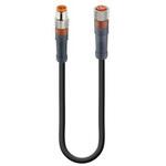 53770 RSMV 4-RKMV 4-225/0，6 M センサアクチュエータケーブル コア数：4 RSMV-RKMVシリーズ Lumberg Automation