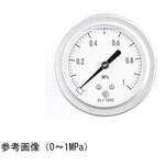 GV55-173 グリセリン入圧力計(60Φ) GV55-173シリーズ 長野計器