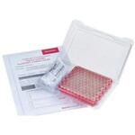 6PCK593W LC/GC認証付スクリューバイアルキット 2mL 100組 6PCKシリーズ Thermo Fisher Scientific