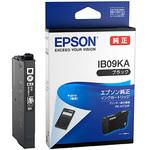 純正インクカートリッジ EPSON IB09 電卓 EPSON