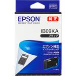 純正インクカートリッジ EPSON IB09 電卓 EPSON