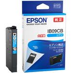 純正インクカートリッジ EPSON IB09 電卓 EPSON エプソン純正インク