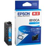 純正インクカートリッジ EPSON IB10 カードケース EPSON