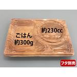 デリカランチDL エフピコチューパ