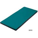 BL91 洗えるムレない体圧分散マットレス(二層一体構造) 交換用カバー ナビス(アズワン)