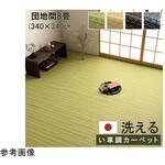 1090031190602 洗える カーペット ラグ 国産 除菌スプレー対応 アウトドア ペット イケヒコ・コーポレーション