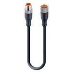 59451 RST 4-RKT 4-225/2，5 M センサアクチュエータケーブル 22 AWG コア数：4 RSTシリーズ Lumberg Automation