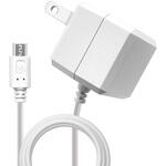 AC充電器 ケーブル直付 ラスタバナナ