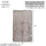 電気毛布  寝る消臭元 制菌 消臭  フランネル 小林製薬 YAMAZEN(山善)