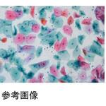 51462C サイトキャッチスライド 20F 100枚入 武藤化学