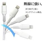 ライトニングケーブル ラスタバナナ