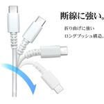 Type-Cケーブル ラスタバナナ