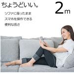 ワイヤレスチャージャー ラスタバナナ