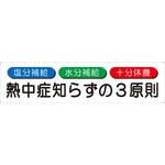 SA-N12-55 横断幕【3原則】 三愛