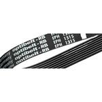 3 EPJ 286 プーリー ベルト 幅 7.02mm 長さ 286mm ポリウレタン RB Optibelt