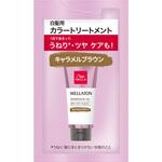 ウエラトーン エッセンスイン カラートリートメント ウエラジャパン