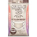 快適ガードプロ プリーツタイプ ふつうサイズ スタイリッシュベージュ 白元アース