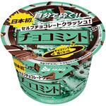 [冷凍]セルフチョコレートクラッシュチョコミント 赤城乳業