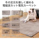 カーペット コイズミ