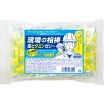 現場の相棒「塩ビタミンゼリー」 パレックス 現場の相棒「塩ビタミンゼリー」 パレックス